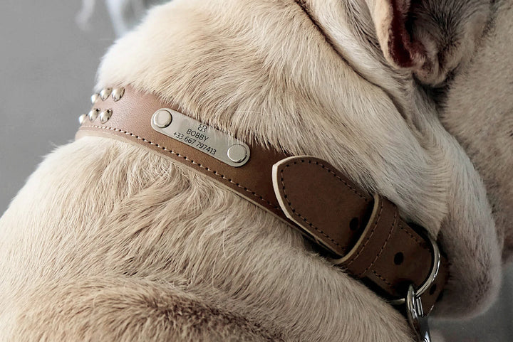Luxury Dog Collar Biange