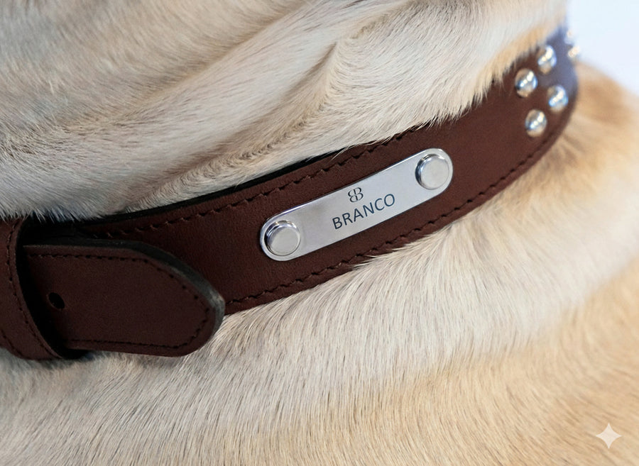 Branco Signed Collar - Ball Studs - col. Aura Saddle