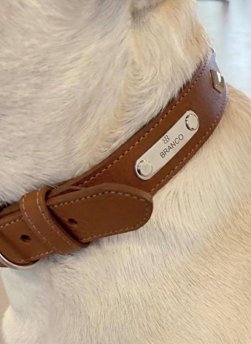 Branco Signed Collar - Pyramid Studs - col. Cognac