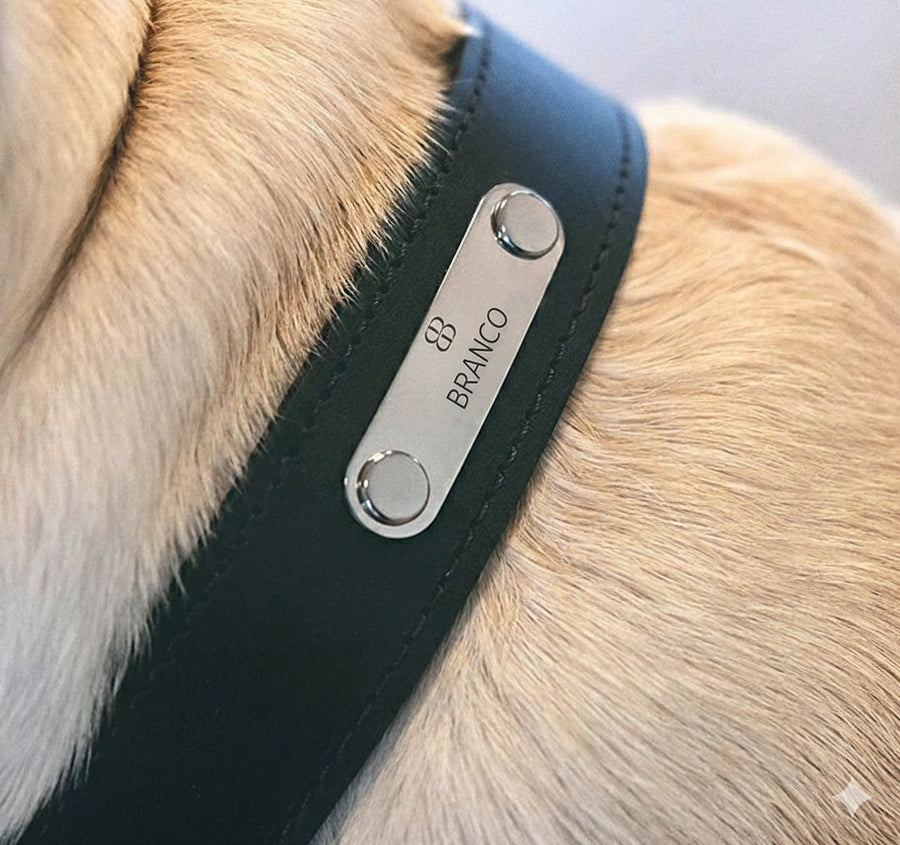 Branco Signed Collar - Nature - col. Off Black