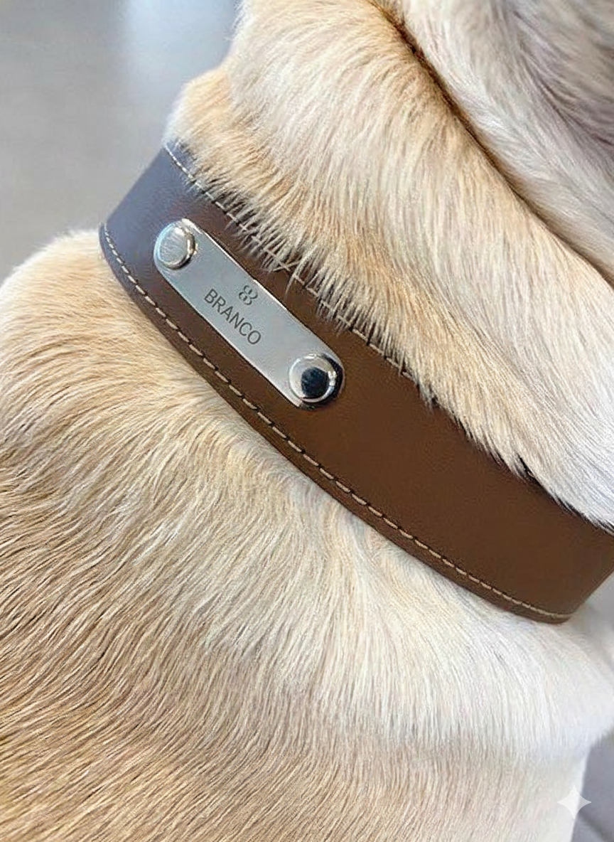 Branco Signed Collar - Nature - col. Greige