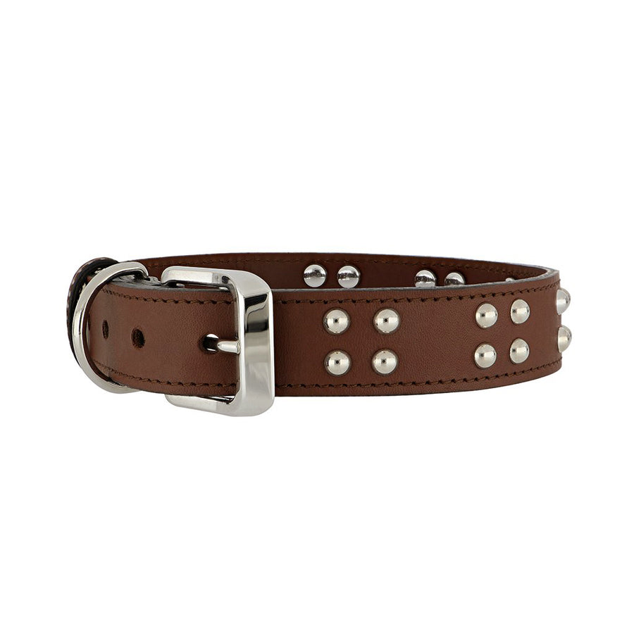 luxury fashion collars for dogs