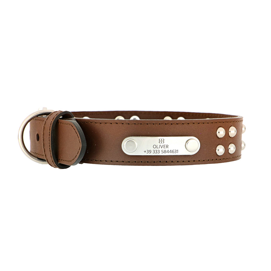 luxury fashion collars for pet