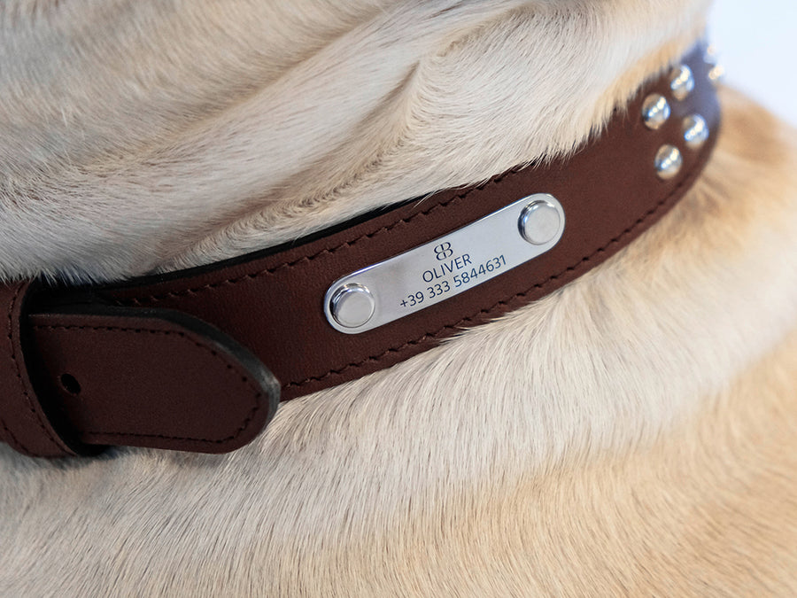 customized tag for your collars