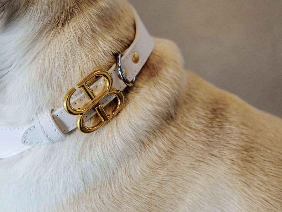 gold fashion luxury collar made in italy