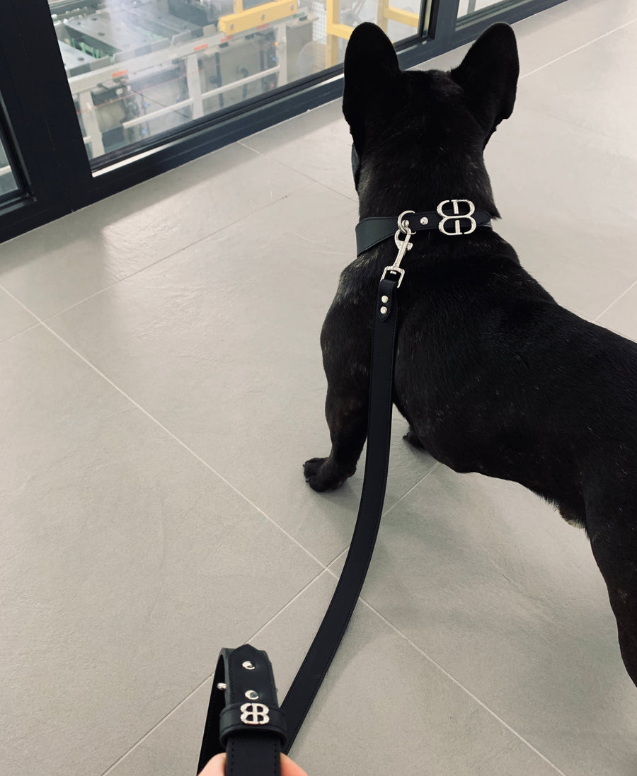 Louis vuitton dog collar and leash -  Italia