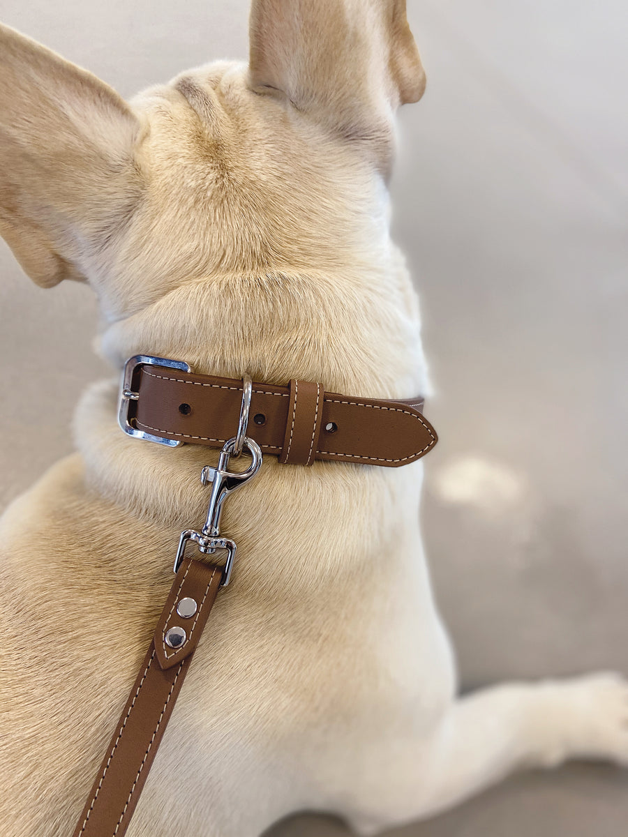 finest fashion luxury collar made in italy pet accessories
