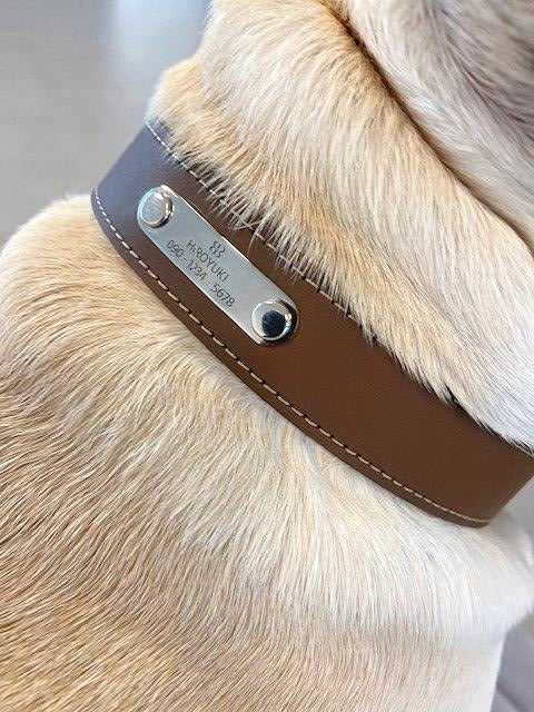 finest fashion luxury collar made in italy pet accessories